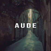 Load image into Gallery viewer, Aude