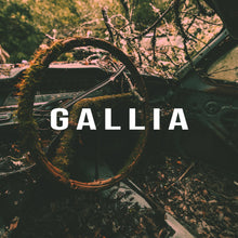 Load image into Gallery viewer, Gallia