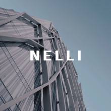 Load image into Gallery viewer, Nelli