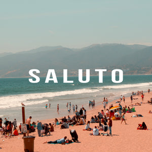 Saluto