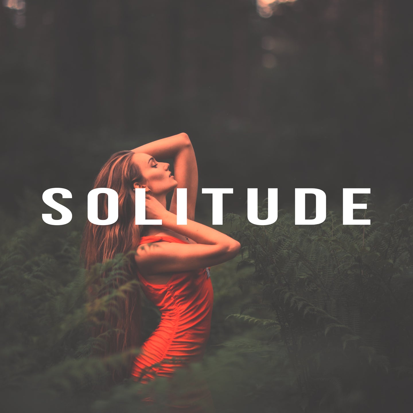 Solitude